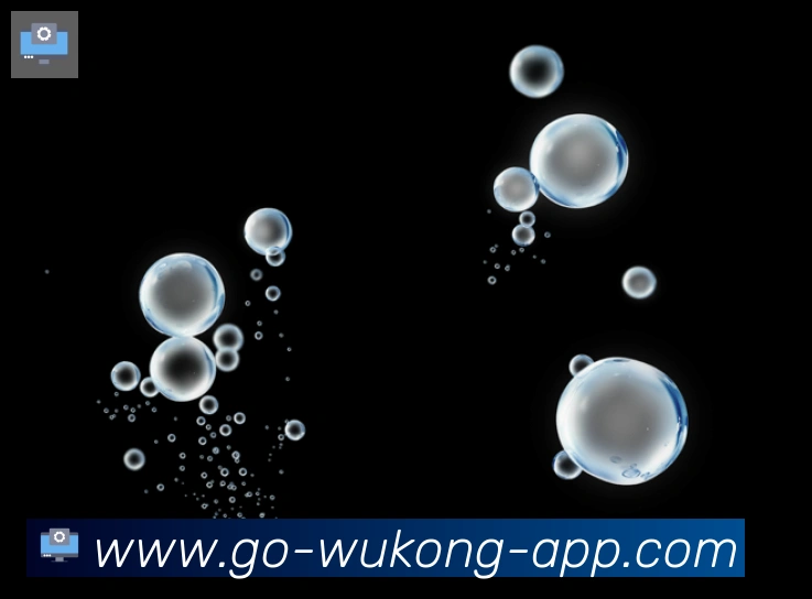 体育App
